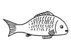 Coloring pages fish