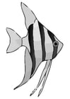 Coloring page fish