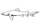 Coloring page fish - shark