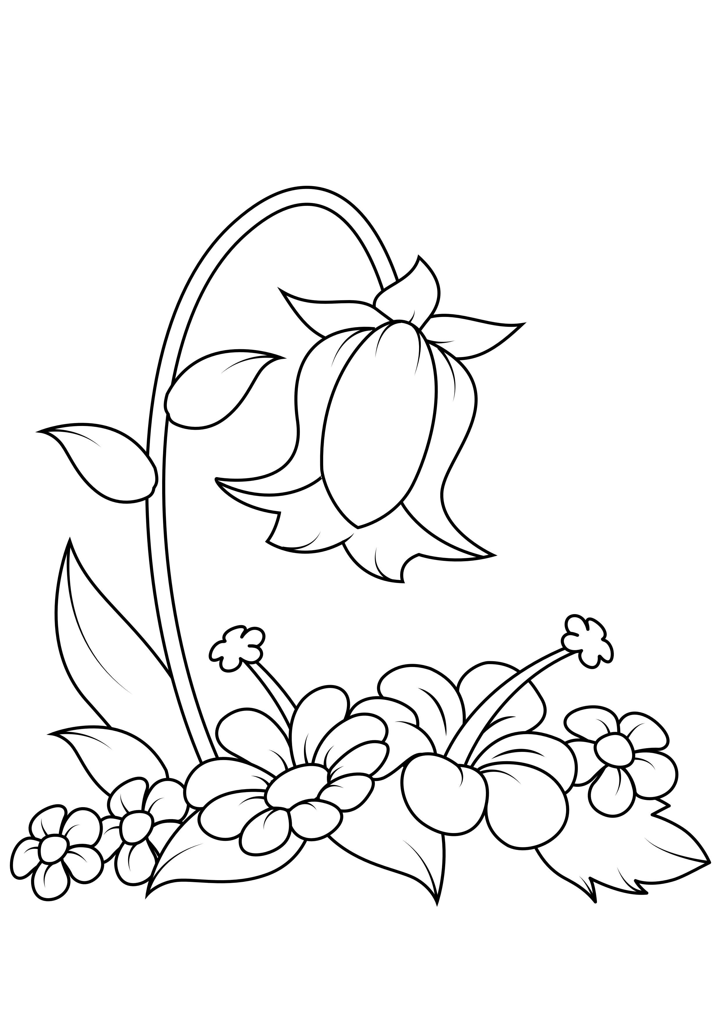 Coloring page flower