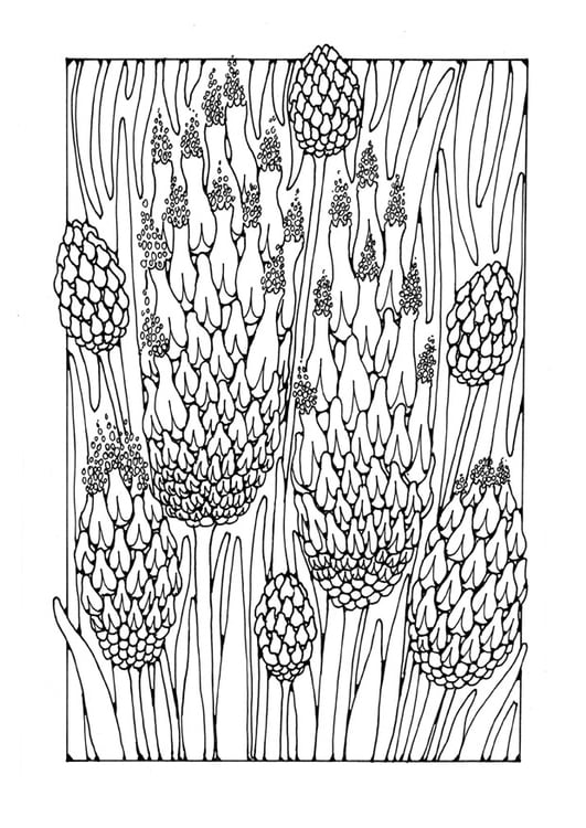 Coloring page flower