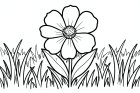 flower in a meadow