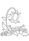 Coloring pages flower