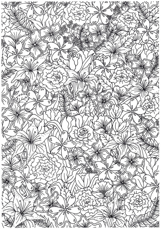 Coloring page flowers