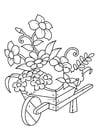 Coloring page flowers in wheelbarrow