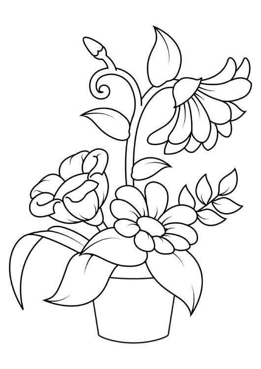 flowers