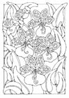 Coloring pages flowers