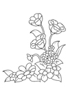 Coloring pages flowers