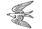 Coloring page flying bird