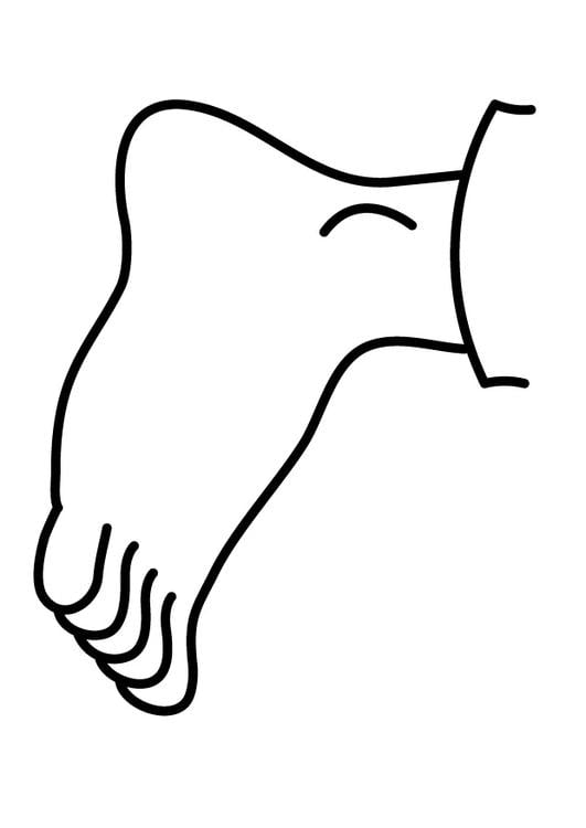 foot