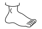 Coloring page foot