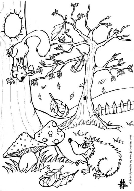 Coloring page forest