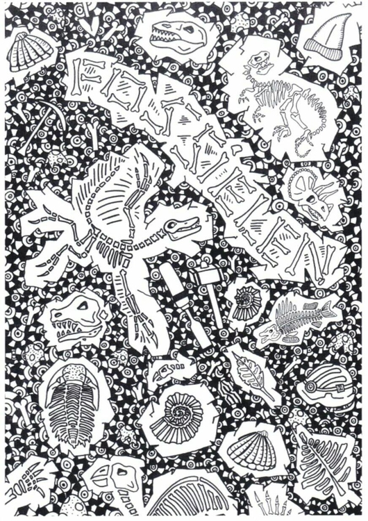 Coloring page fossils