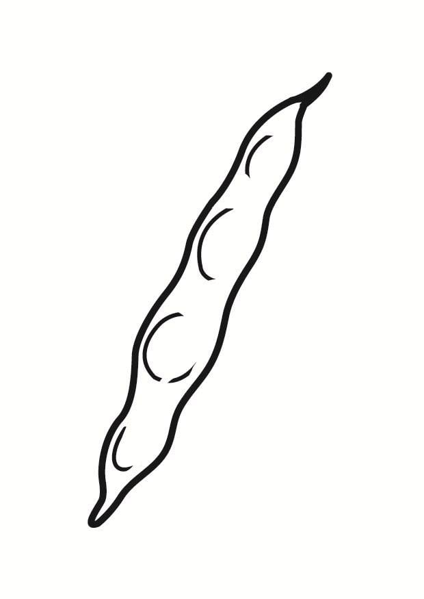 Coloring page French bean