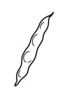 Coloring pages French bean