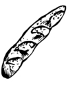 Coloring page french bread