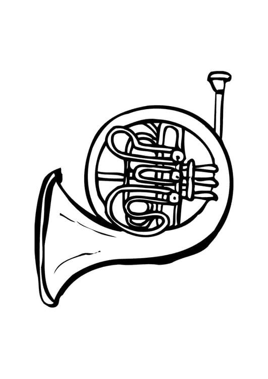 french horn