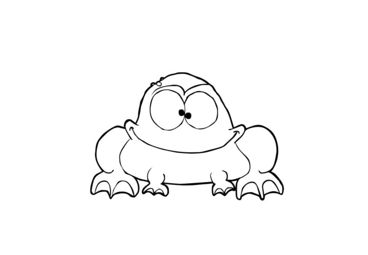 Coloring page frog