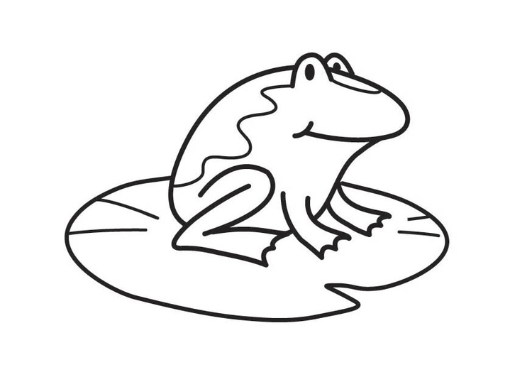 Coloring page Frog