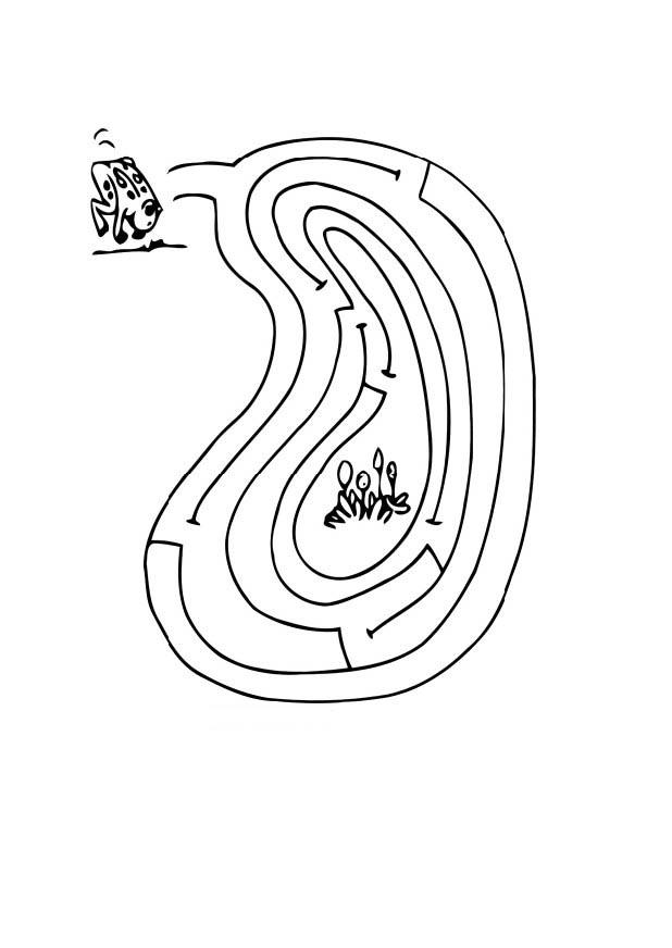 Coloring page frog maze