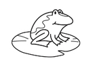 Coloring pages Frog