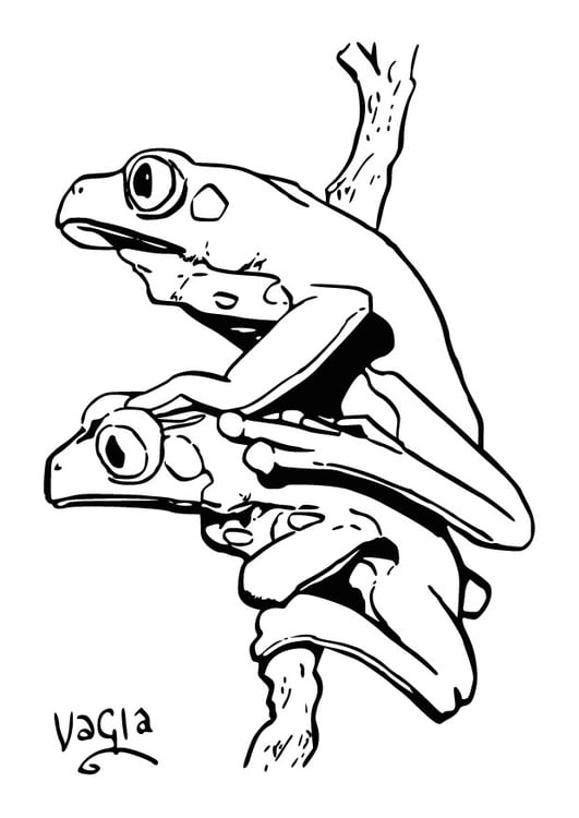 Coloring page frogs