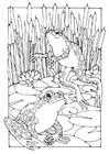 Coloring page Frogs