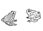 Coloring page frogs