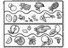 Coloring pages fruits