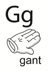 g