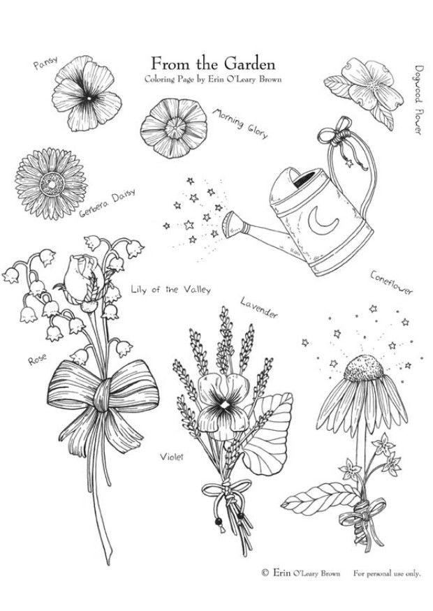 Coloring page garden flowers