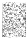 Coloring page garden nasturtium flower
