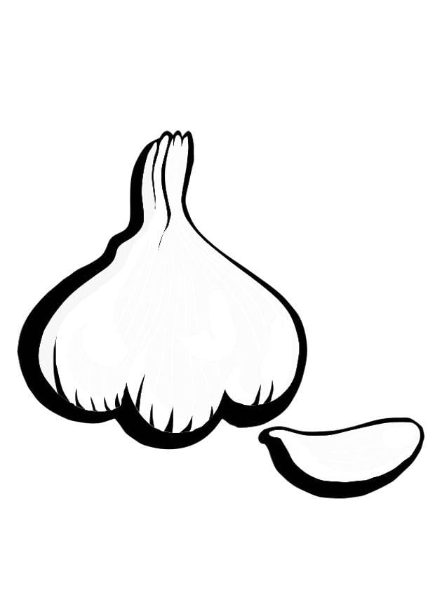 Coloring page garlic