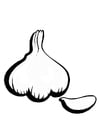 Coloring page garlic