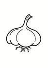 Coloring pages garlic