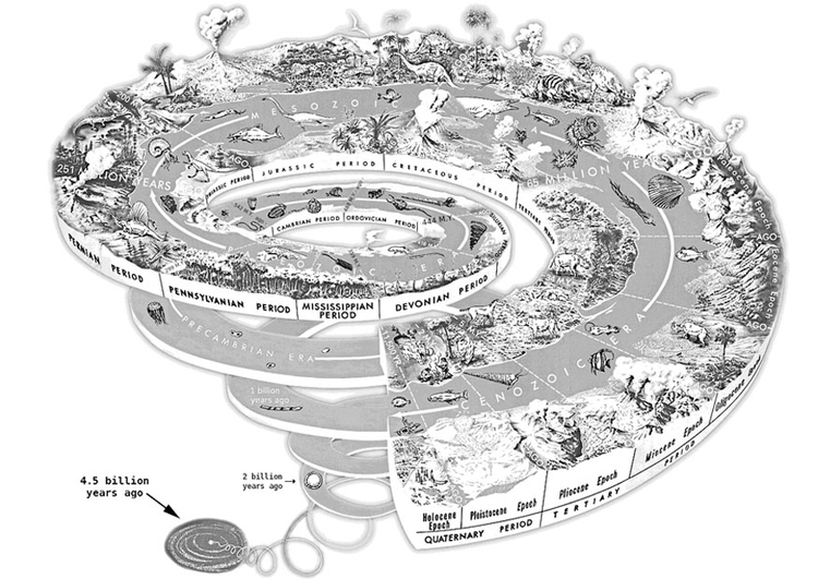 Coloring page geological spiral