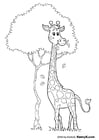 Coloring page giraffe