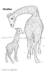 Coloring pages giraffe
