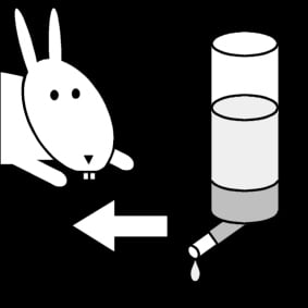 Coloring page giving water to the rabbit