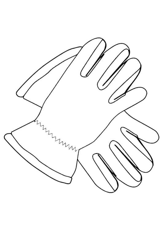 gloves