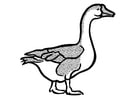 Coloring pages goose