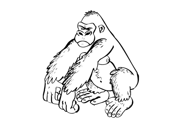 Coloring page gorilla