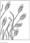 Coloring pages grain