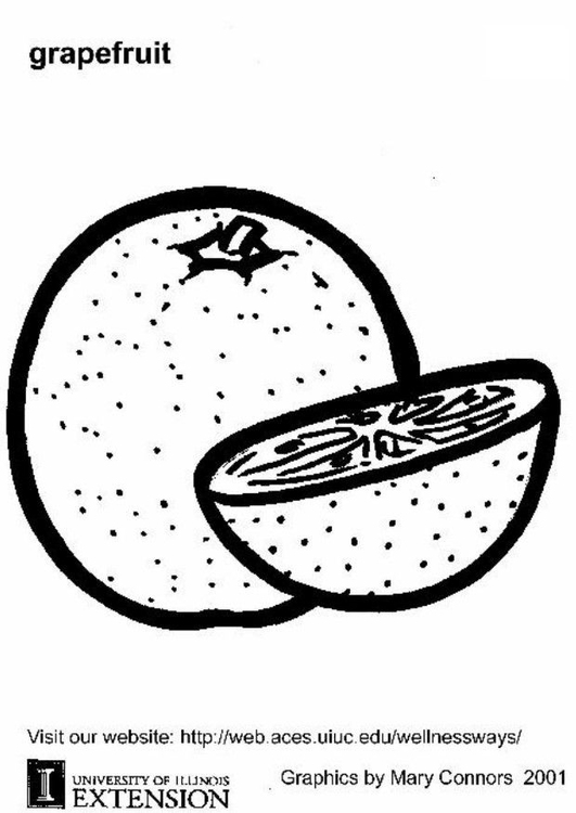 Coloring page grapefruit