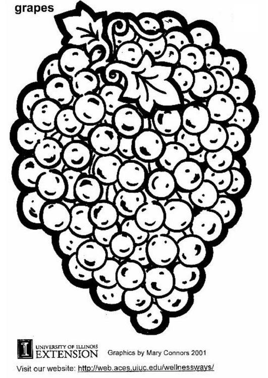 grapes