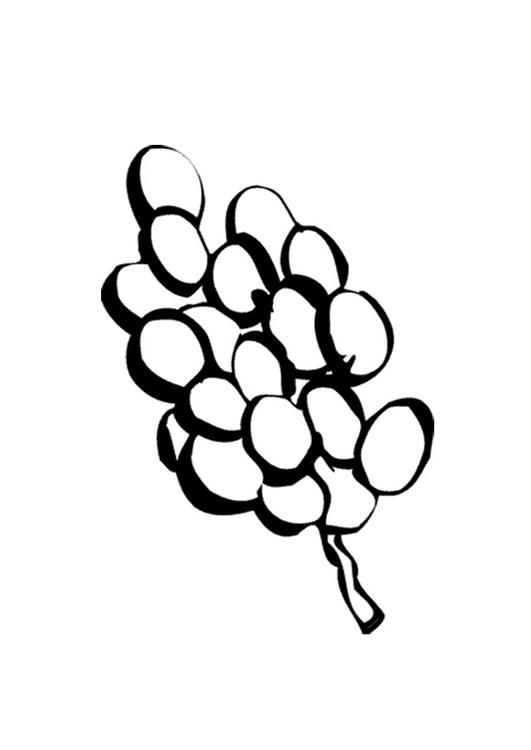 grapes