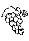 Coloring pages grapes