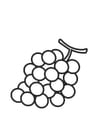 Coloring pages grapes