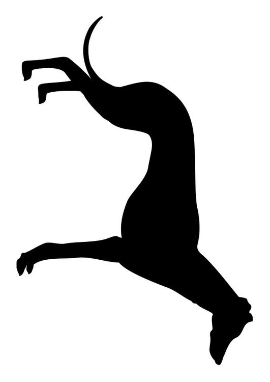 greyhound