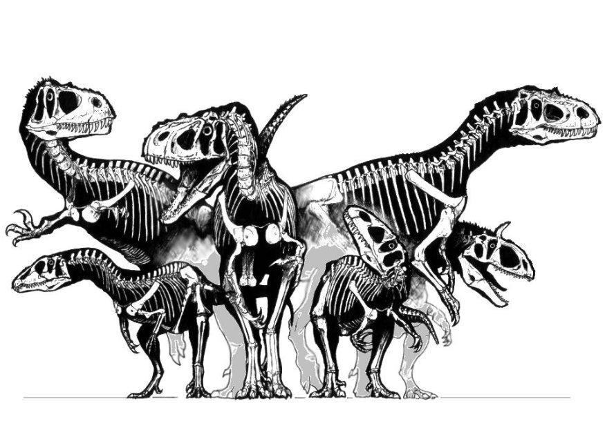 Coloring page group of dinosaurs - skulls
